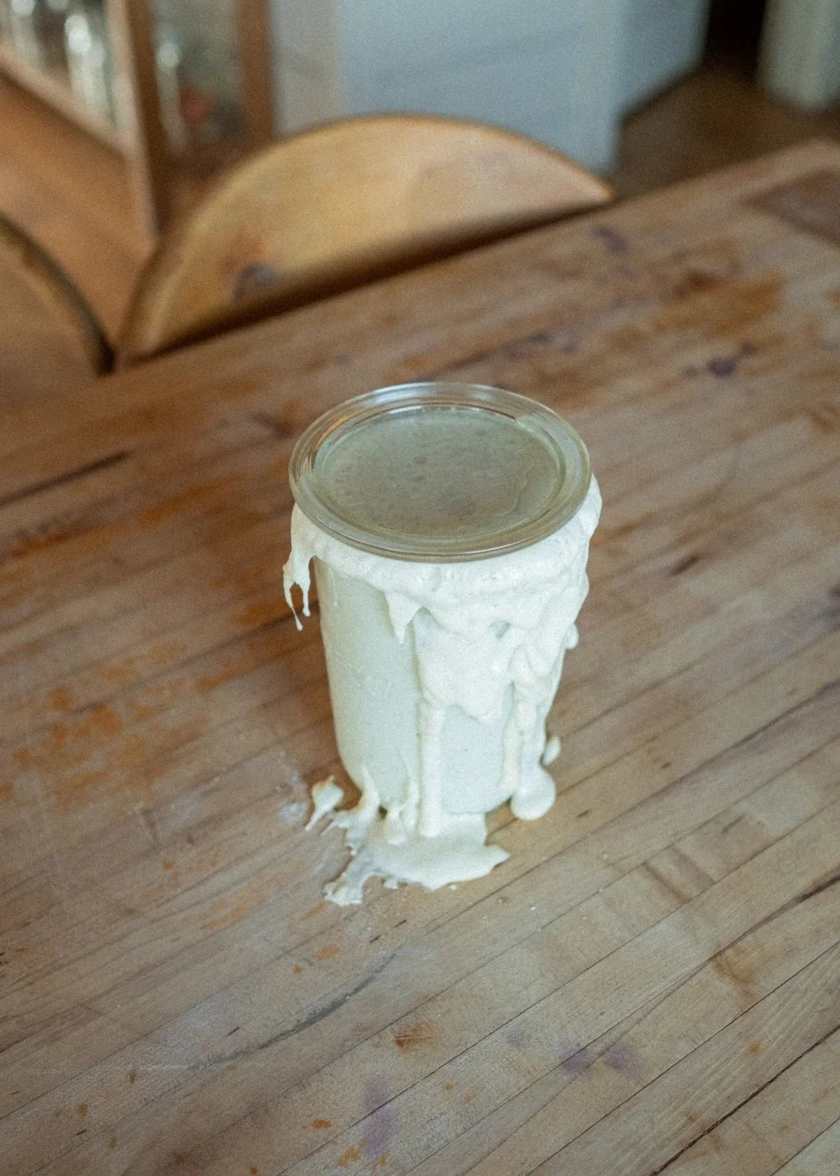 Sourdough Starter